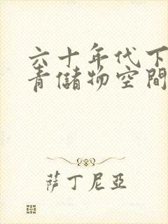六十年代下乡知青储物空间封面