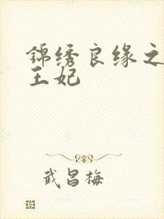 锦绣良缘之北地王妃