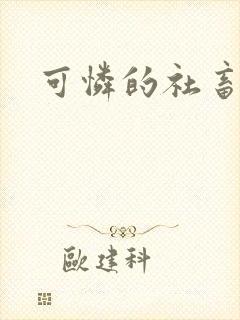 可怜的社畜