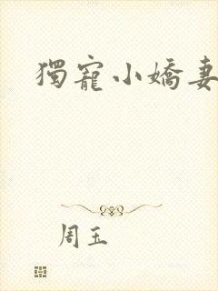 独宠小娇妻