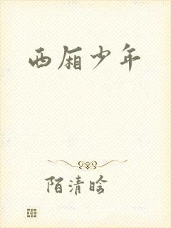 西厢少年封面