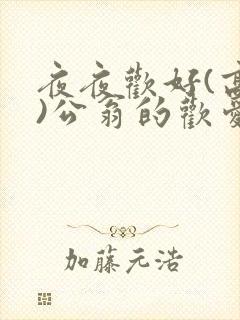 夜夜欢好(高h)公翁的欢爱h封面