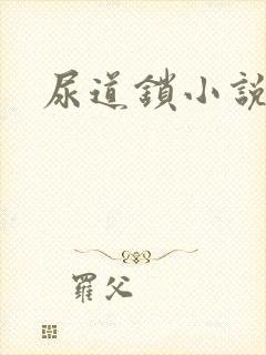 尿道锁小说封面