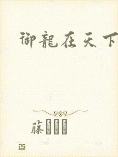御龙在天下载封面