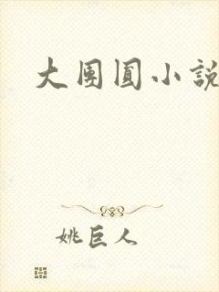 大团圆小说
