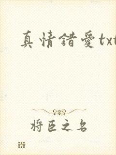 真情错爱txt