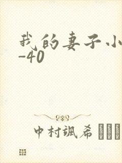 我的妻子小谨1-40
