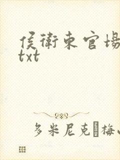 侯卫东官场笔记txt封面