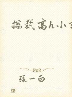 总裁高h小说