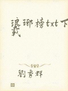 琅琊榜txt下载封面