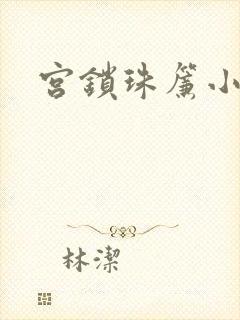 宫锁珠帘小说封面