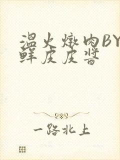 温火炖肉BY海鲜皮皮酱
