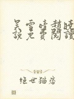 吴雪晴赵晓东小说免费阅读封面