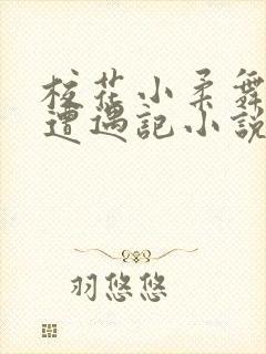 校花小柔舞蹈室遭遇记小说封面