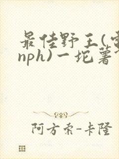 最佳野王(电竞nph)一坨薯饼封面