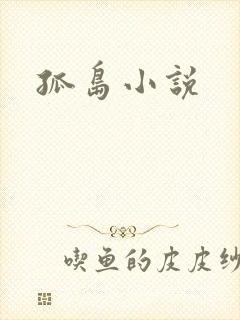 孤岛小说