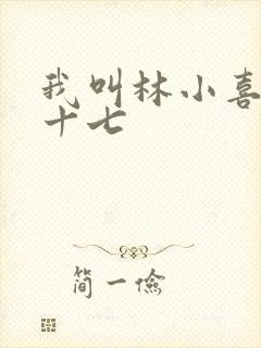 我叫林小喜今年十七