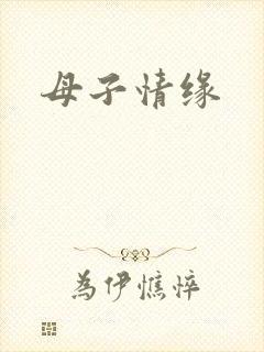 母子情缘封面