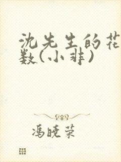 沈先生的花式调数(小非)封面
