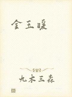 金玉暖封面