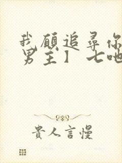 我愿追寻你【双男主】 七吔封面