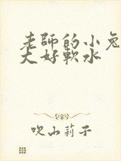 老师的小兔子好大好软水
