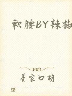 软腰BY辣椒椒封面