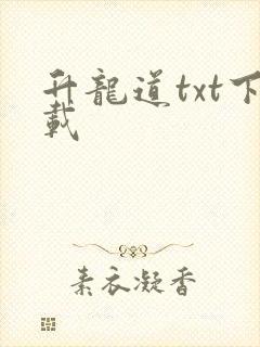 升龙道txt下载