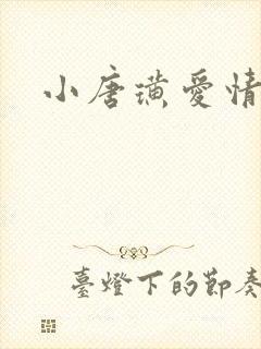 小唐璜爱情历史封面