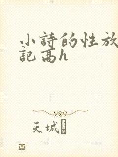 小诗的性放荡日记高h封面