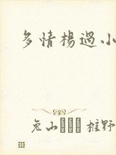 多情杨过小说