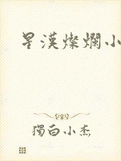 星汉灿烂小说