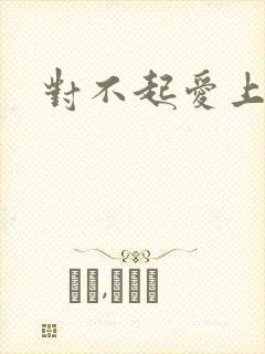 对不起爱上你