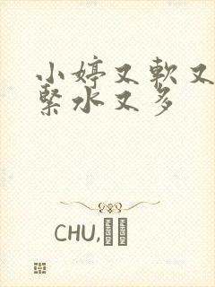 小婷又软又嫩又紧水又多封面