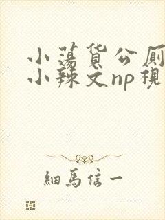 小荡货公厕h文小辣文np视频