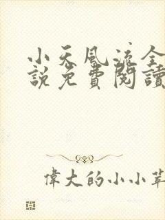 小天风流全集小说免费阅读