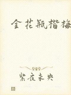 金花瓶楷梅花5