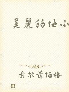 美丽的他小说