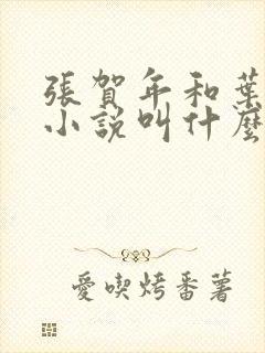 张贺年和叶繁姿小说叫什么名字