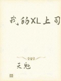 我的XL上司