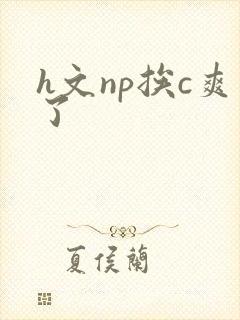 h文np挨c爽了封面