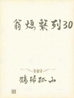 翁熄系列30部