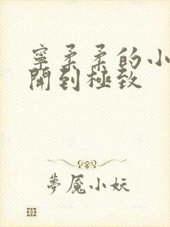 宁柔柔的小泬撑开到极致