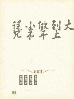 从小做到大骨科兄弟年上