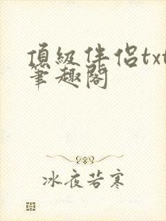 顶级伴侣txt笔趣阁