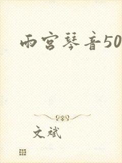 雨宫琴音500