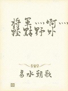 将军灬啊灬啊灬轻点野外封面