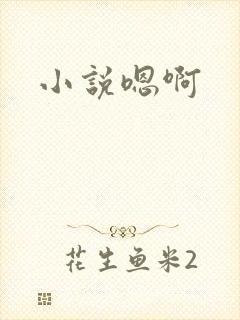 小说嗯啊封面