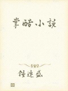 掌酷小说