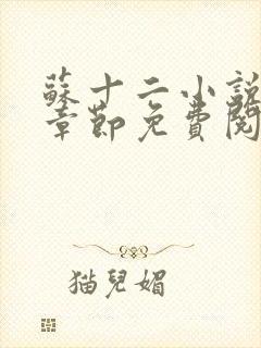 苏十二小说最新章节免费阅读全文